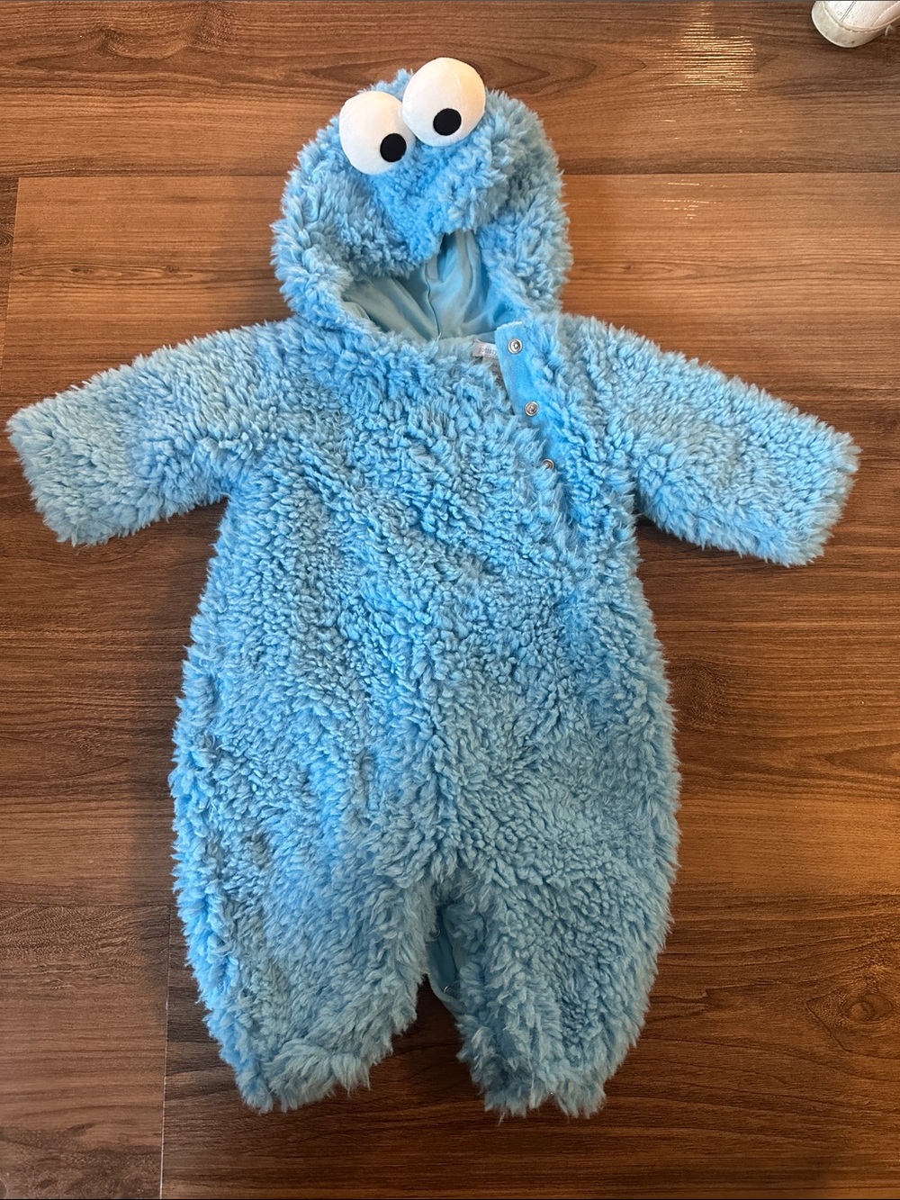 Pottery Barn baby Cookie Monster Halloween costume 0-6 months